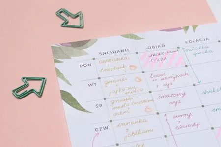 Planer posiłków "Zielone liście" | Notes A4