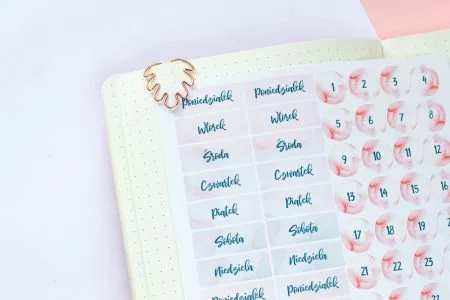 naklejki do bullet journal miesiące dni tygodnia 3