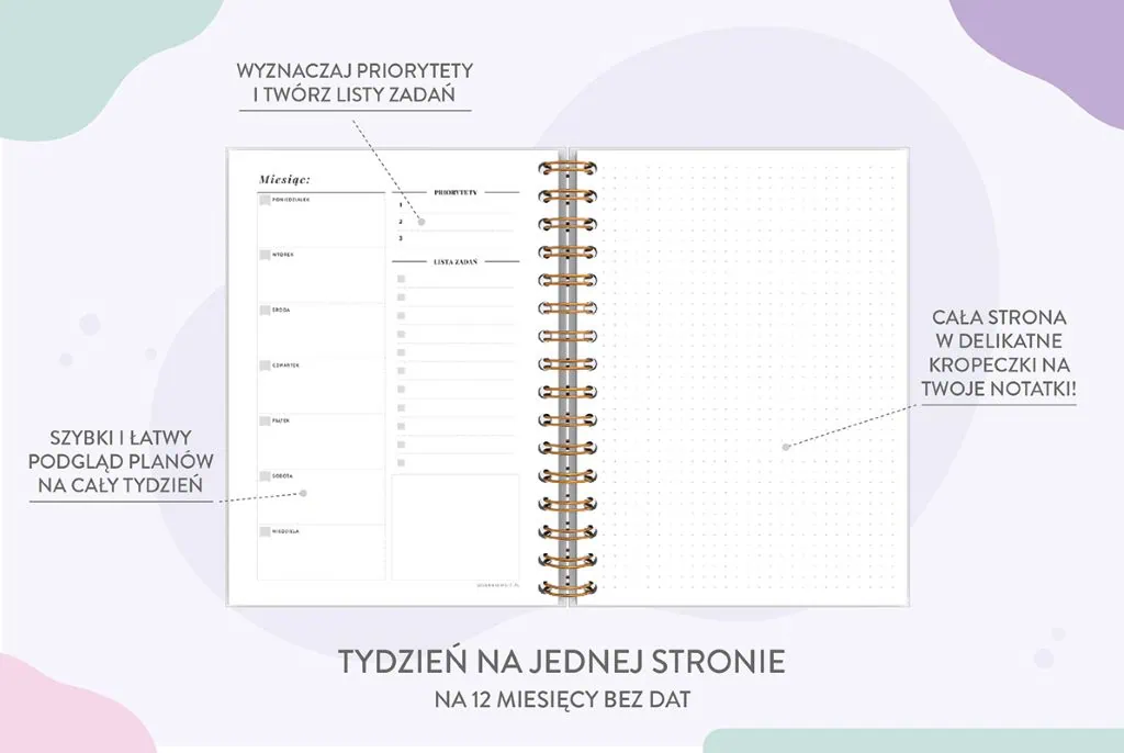 planer niedatowany, wkład