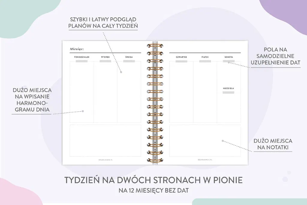 planer niedatowany, wkład
