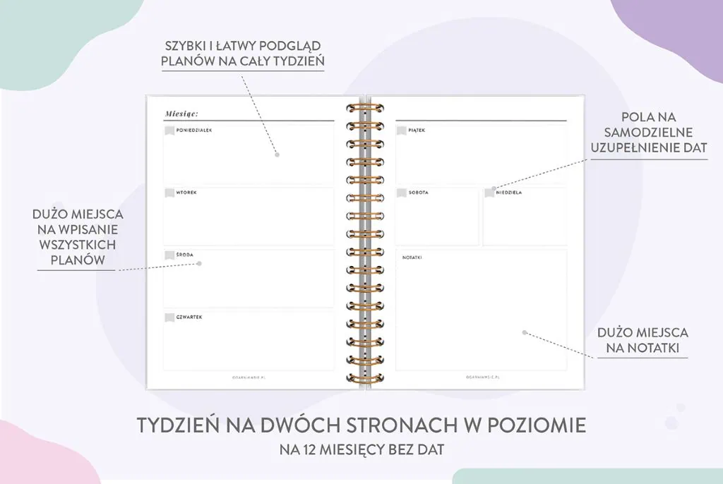 planer niedatowany, wkład