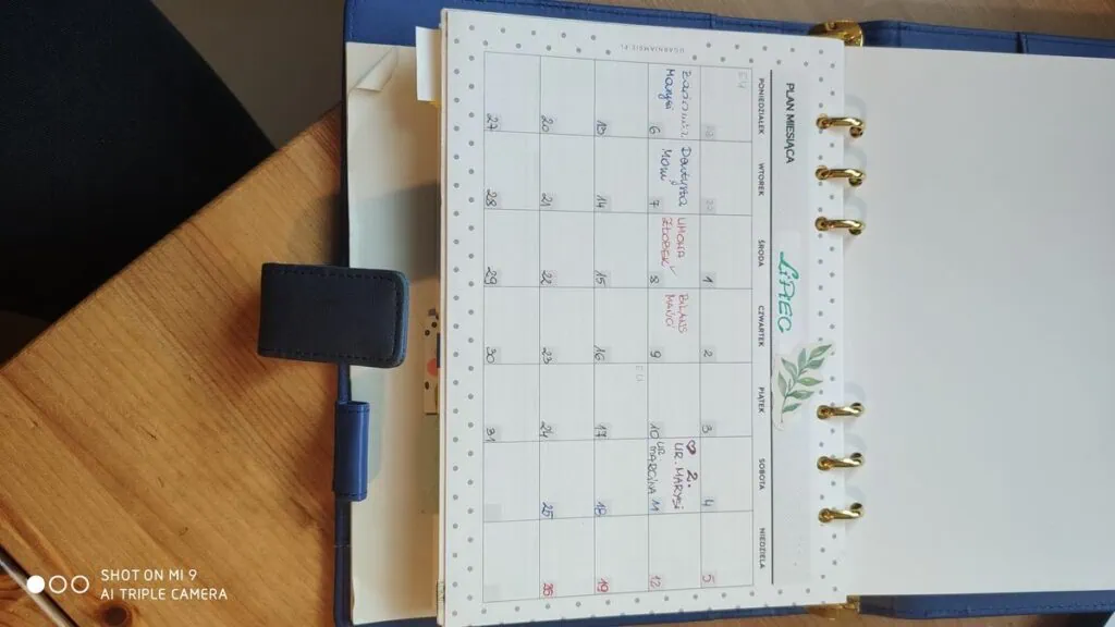 Obrazek #1 z Monika Sapuła