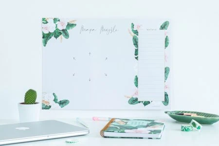 Planer suchościeralny Tropiki Mapa myśli