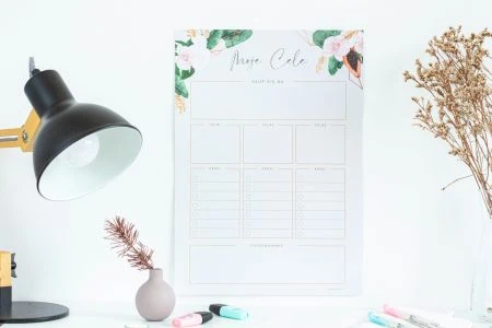 Planer suchościeralny Tropiki Moje cele