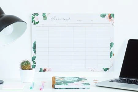 Planer suchościeralny Tropiki Plan zajęć