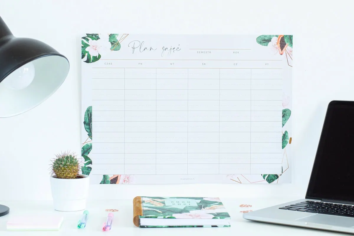 Planer suchościeralny Tropiki Plan zajęć