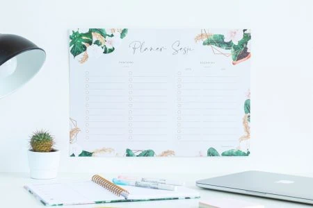 Planer suchościeralny Tropiki Planer sesji