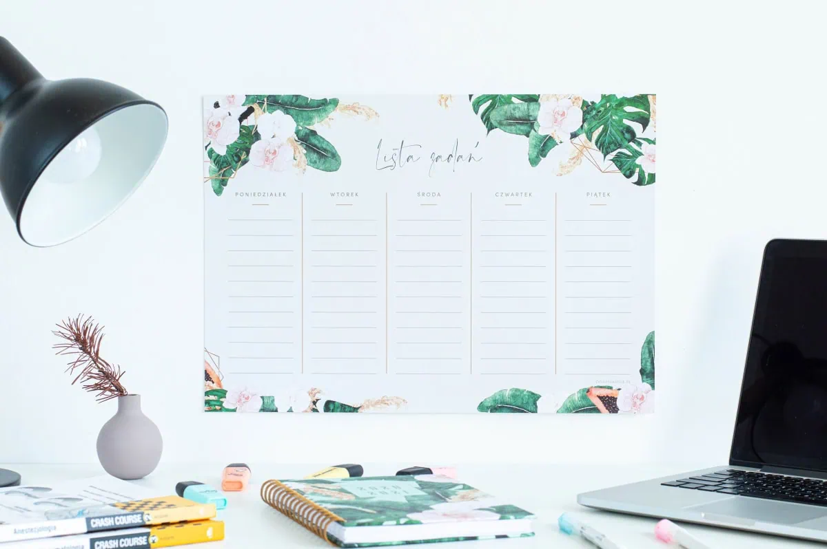 Planer suchościeralny Tropiki Lista zadań 3