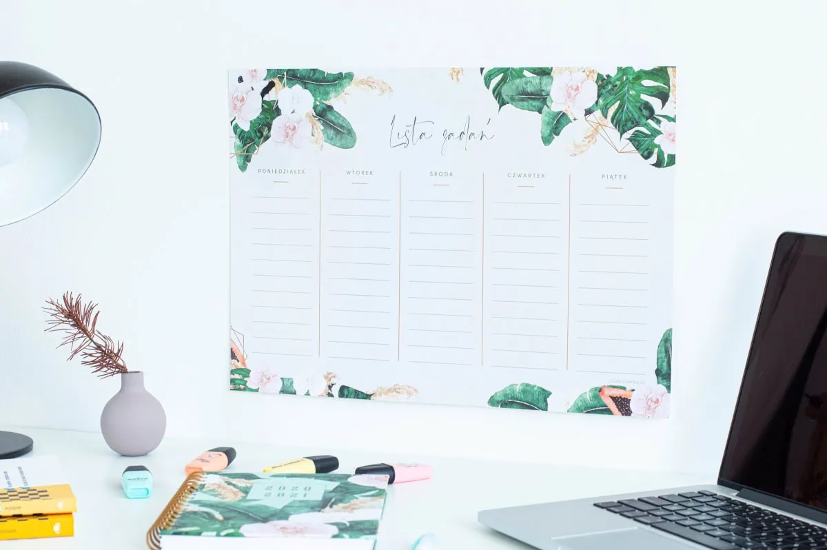 Planer suchościeralny Tropiki Lista zadań