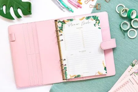 planer nauki suchoscieralny wklad do organizera