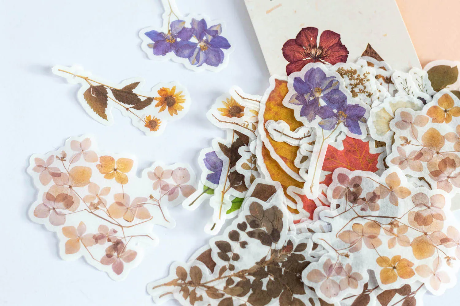 Zestaw kwiatowych naklejek ozdobnych do planera - kwiaty i liście