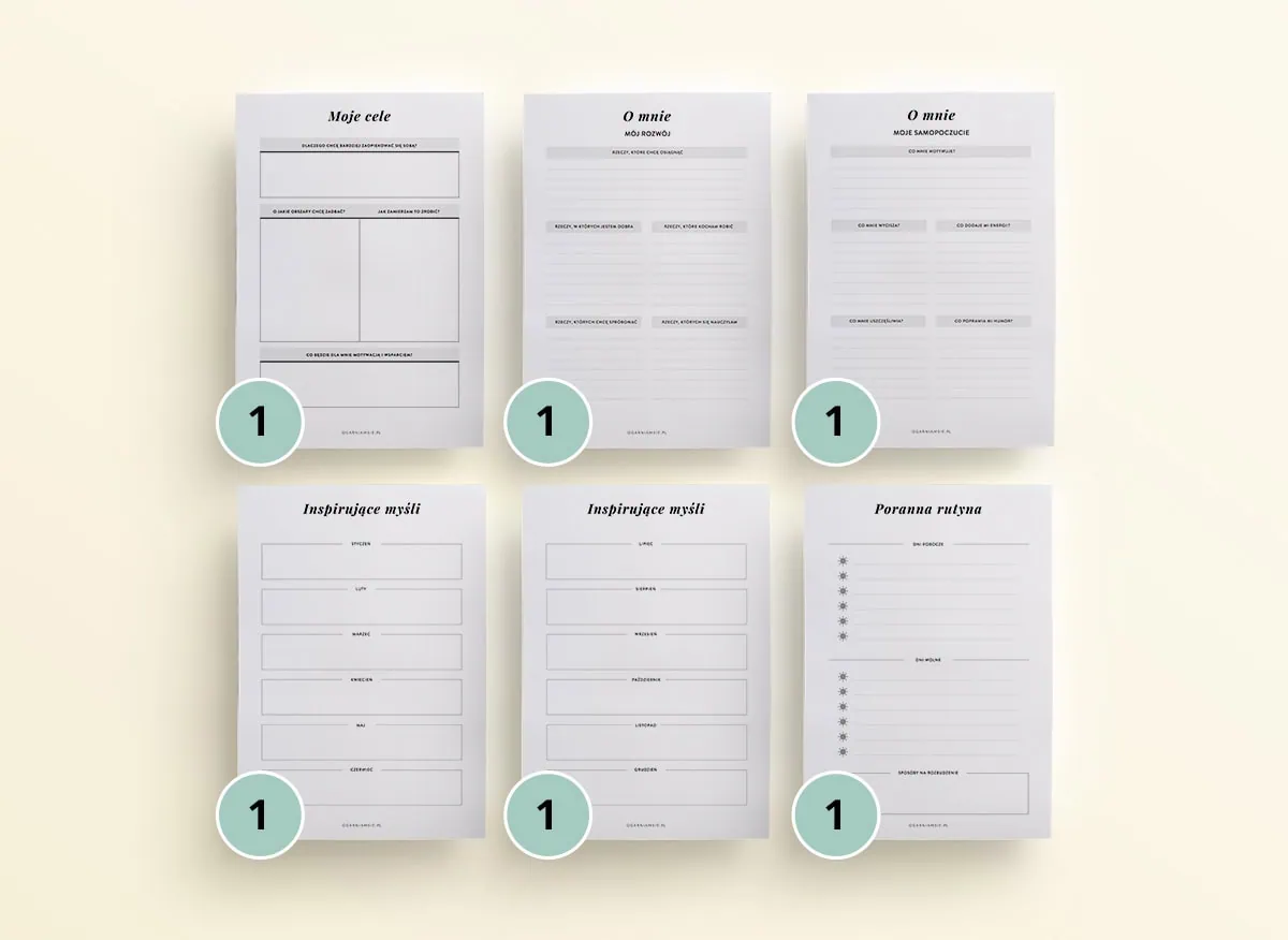 Organizer rozwojowy - obrazek 14