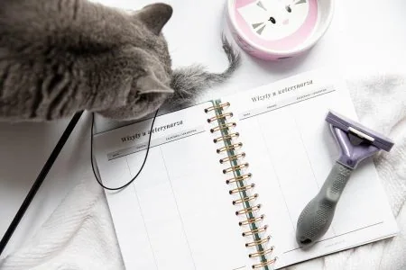 Planer dla opiekuna zwierzaka