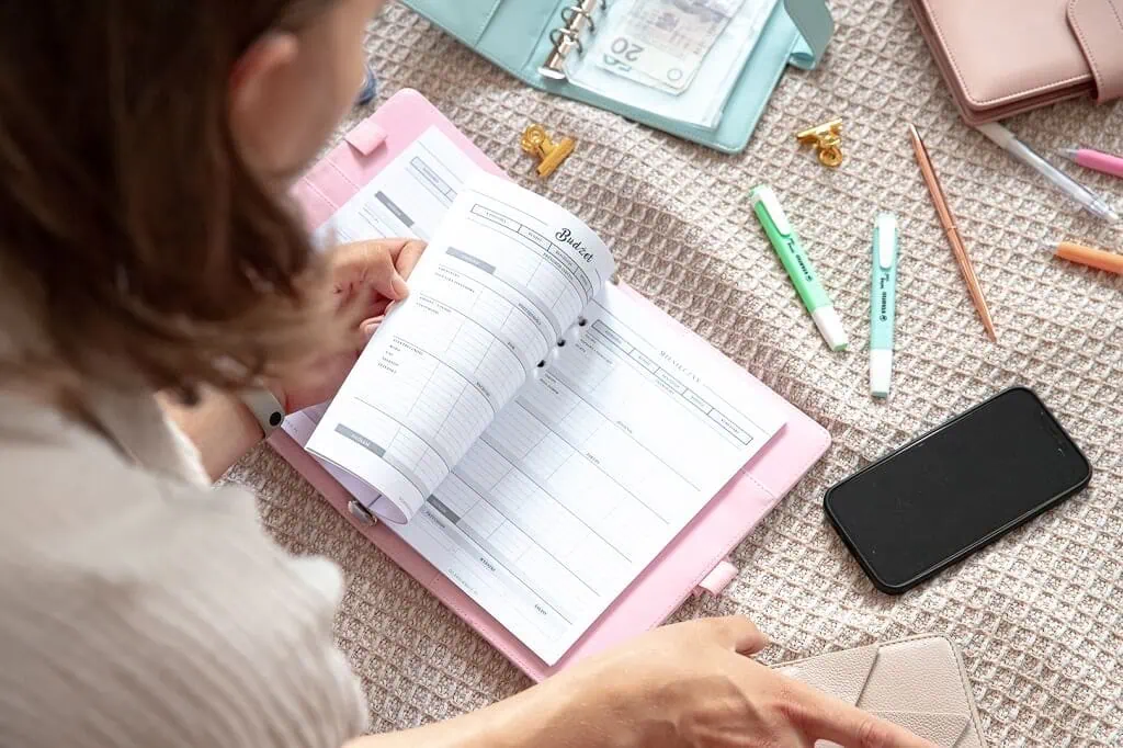 segregator budżetowy po polsku, organizer finansowy