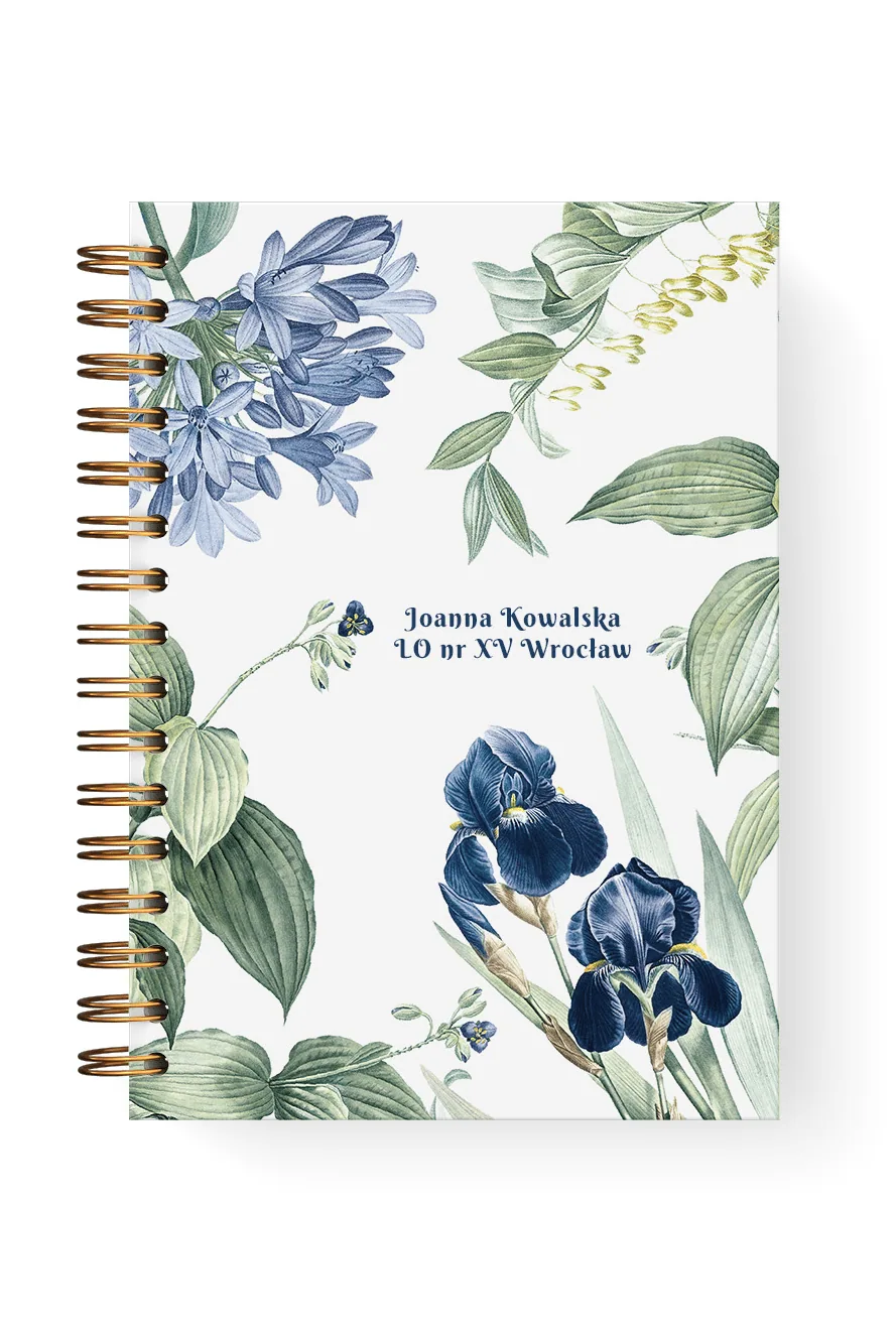 Notes dla nauczyciela | Irysowa Polana (2)