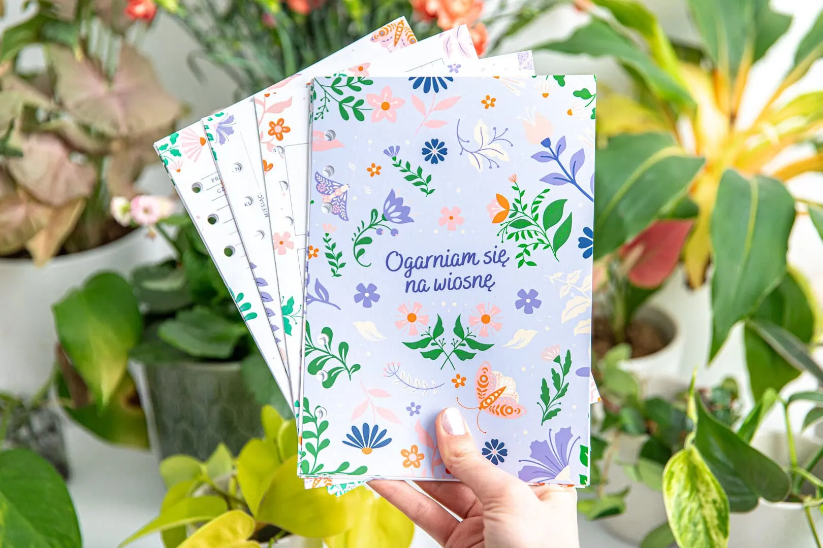 Wkład Ogarniam się na wiosnę