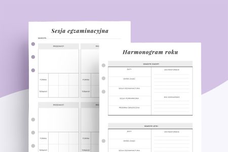 Wkład nauczyciel akademicki