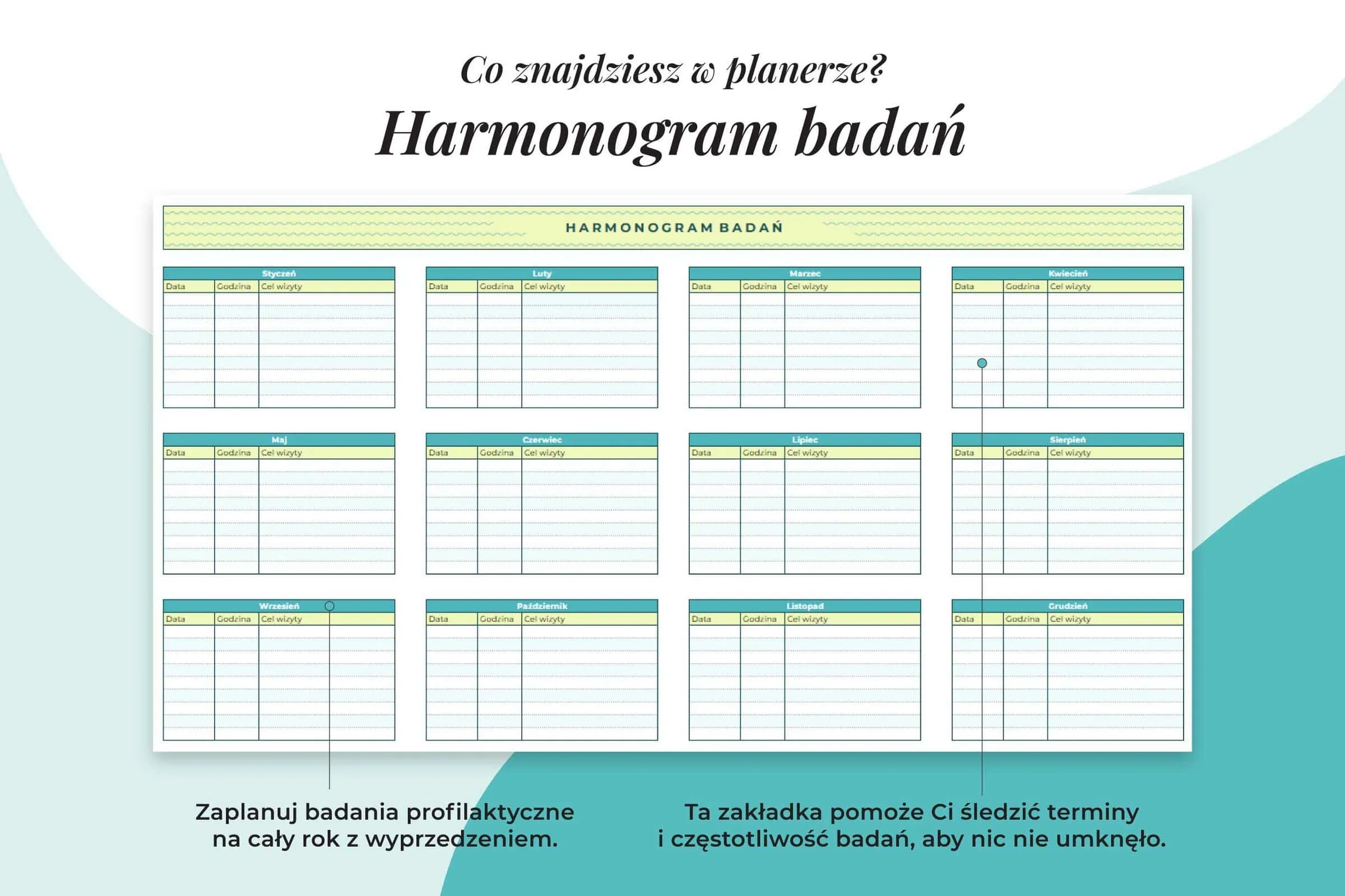 Planer Medyczny w arkuszu Google - zakładka harmonogram badań