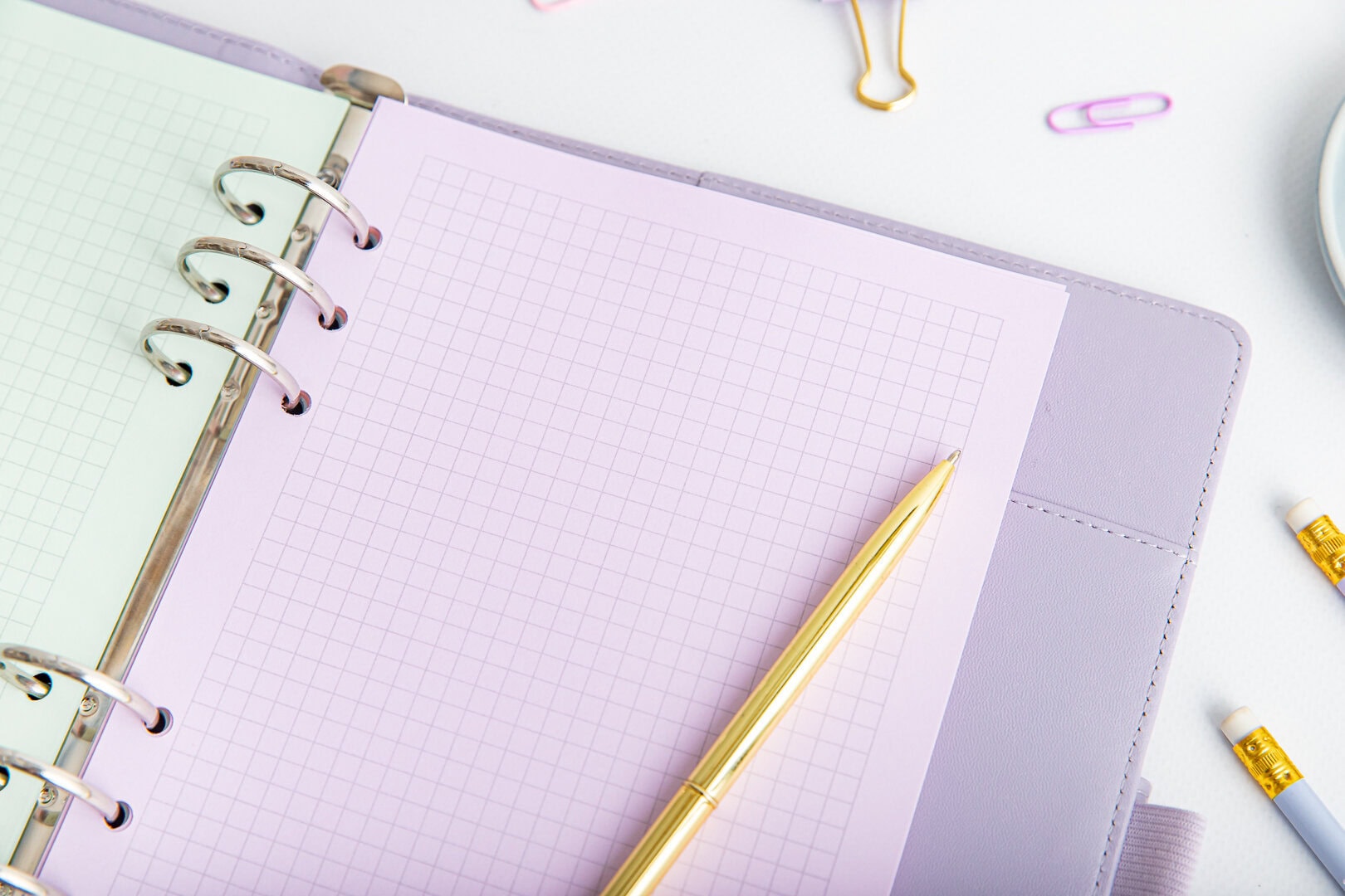 Wkład do organizera kartki w kratkę - kolor fioletowy i zielony w organizerze