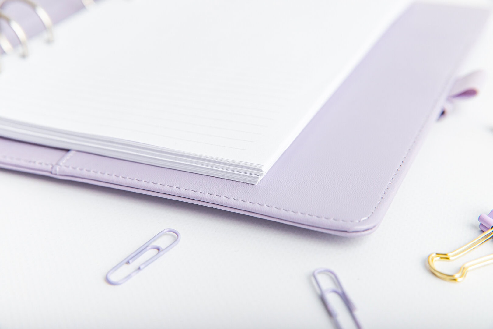 Wkład do organizera w linie w organizerze