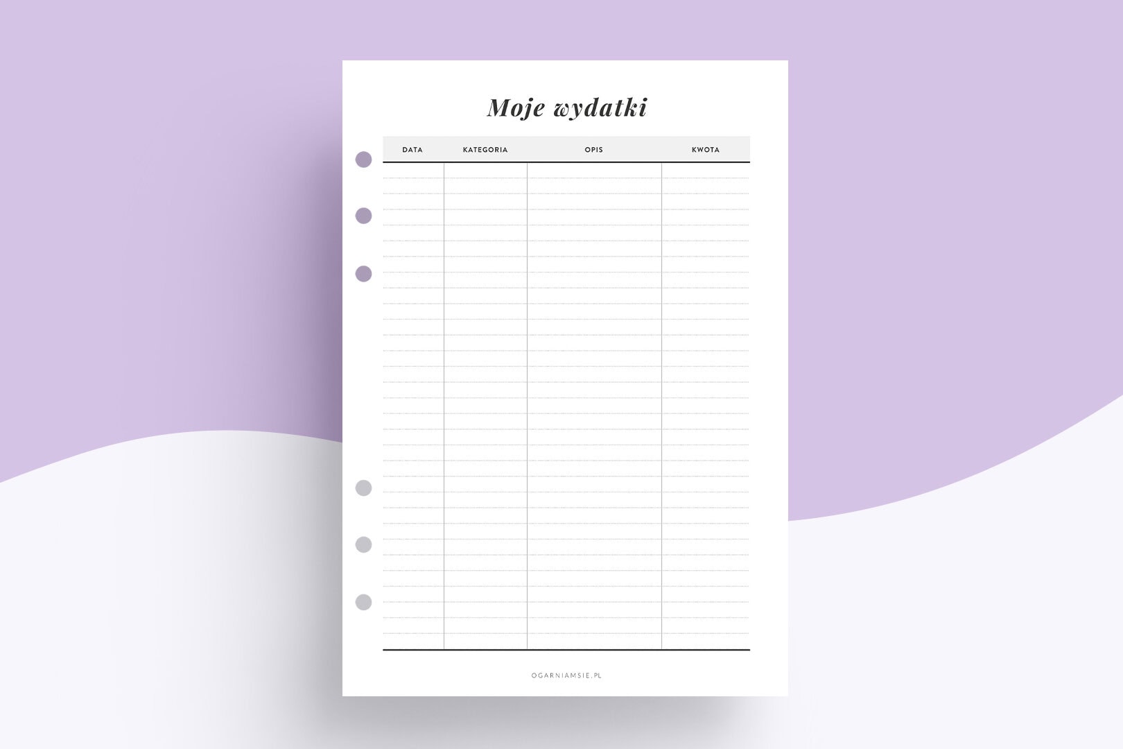 Wkład niedatowany - dziennik wydatków