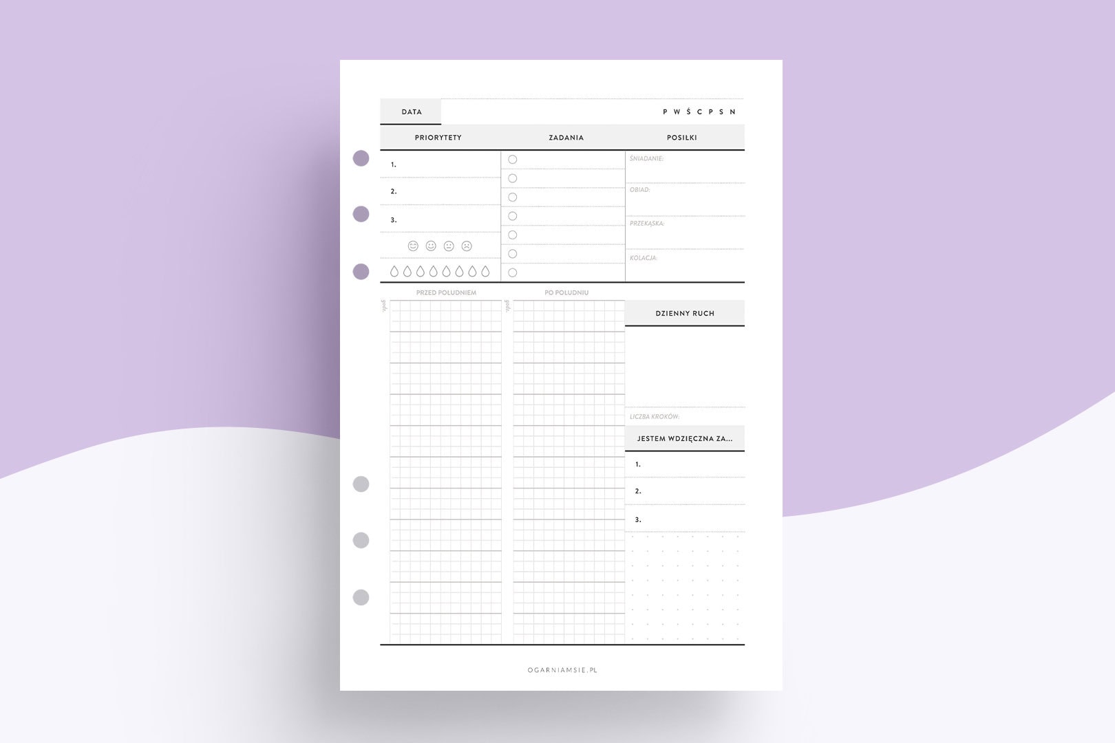 Wkład niedatowany - planer z harmonogramem