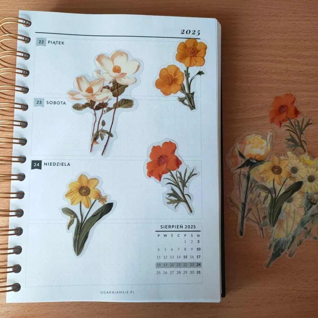 Obrazek #1 z Dominika