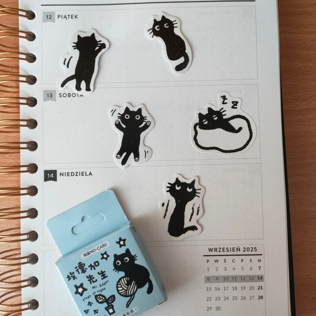 Obrazek #1 z Dominika