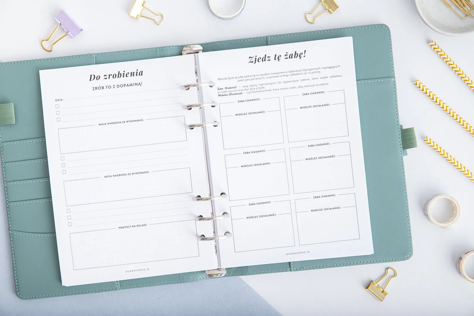 Wkład do organizera Planer ADHD - do zrobienia i zjedz tę żabę!