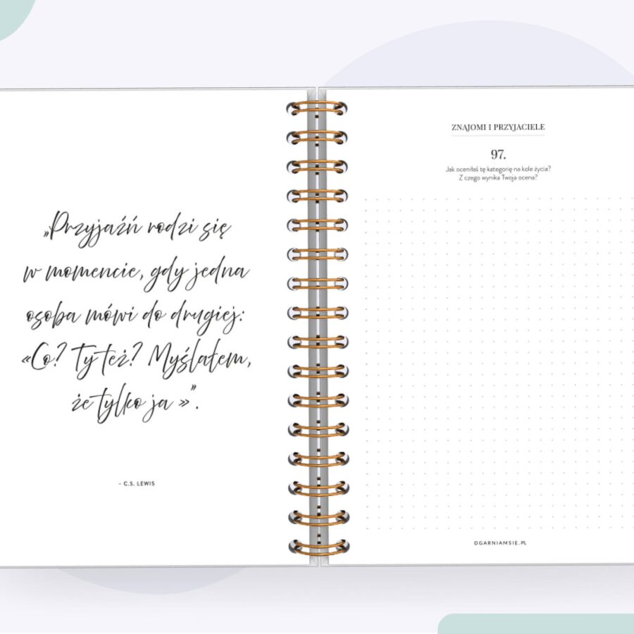 Diary Ogarniary - strony z pytaniami