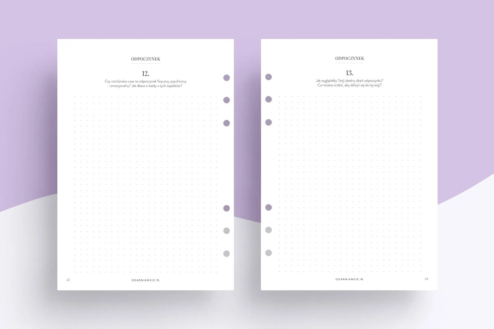 Wkład do organizera Diary Ogarniary - pytania