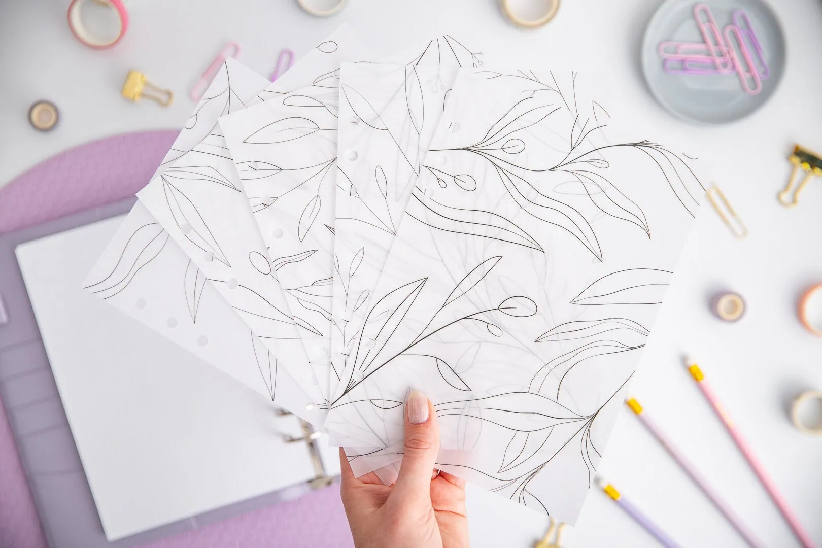 Zestaw kart do organizera - Subtelne liście