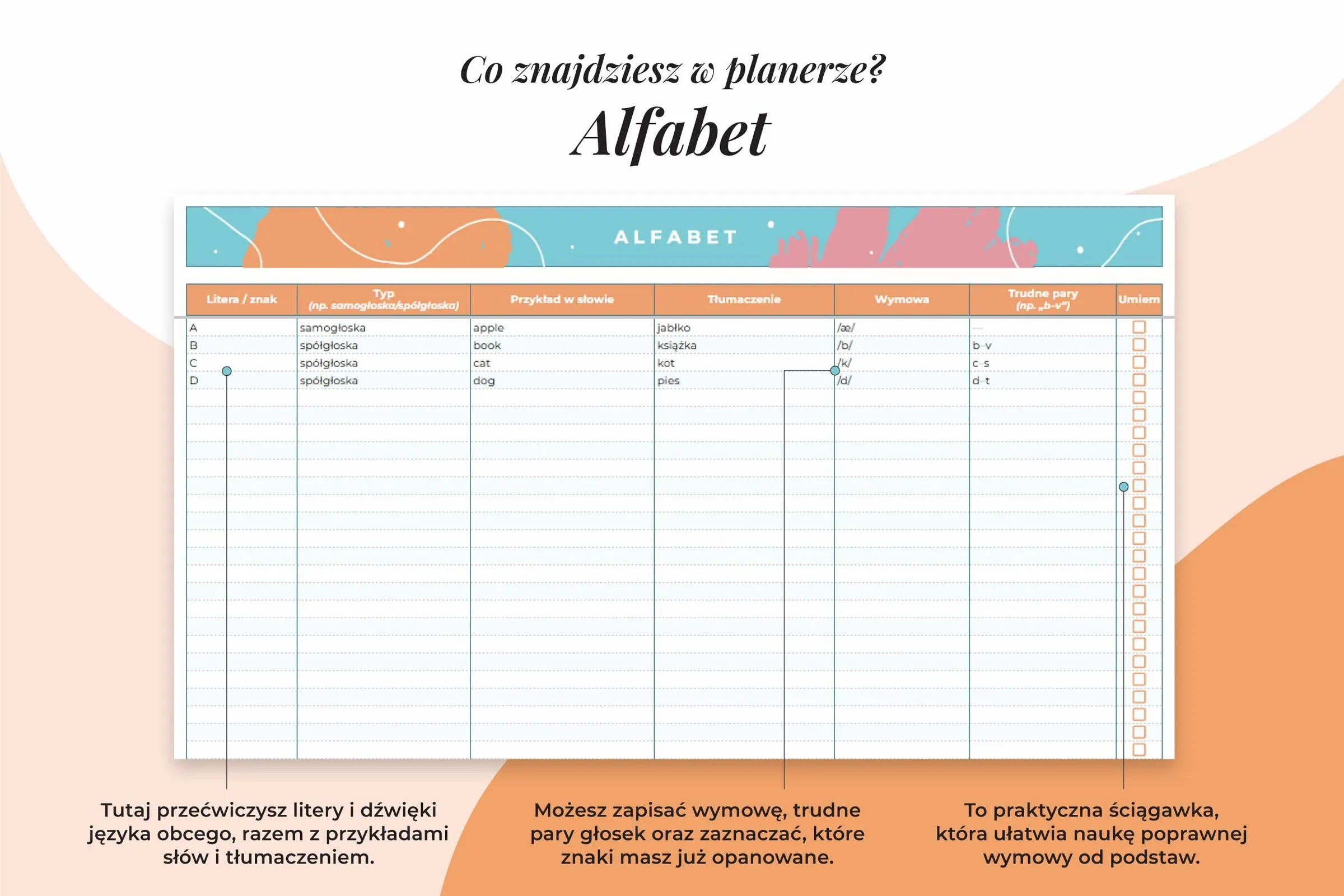 Planer językowy - arkusz Google | Alfabet