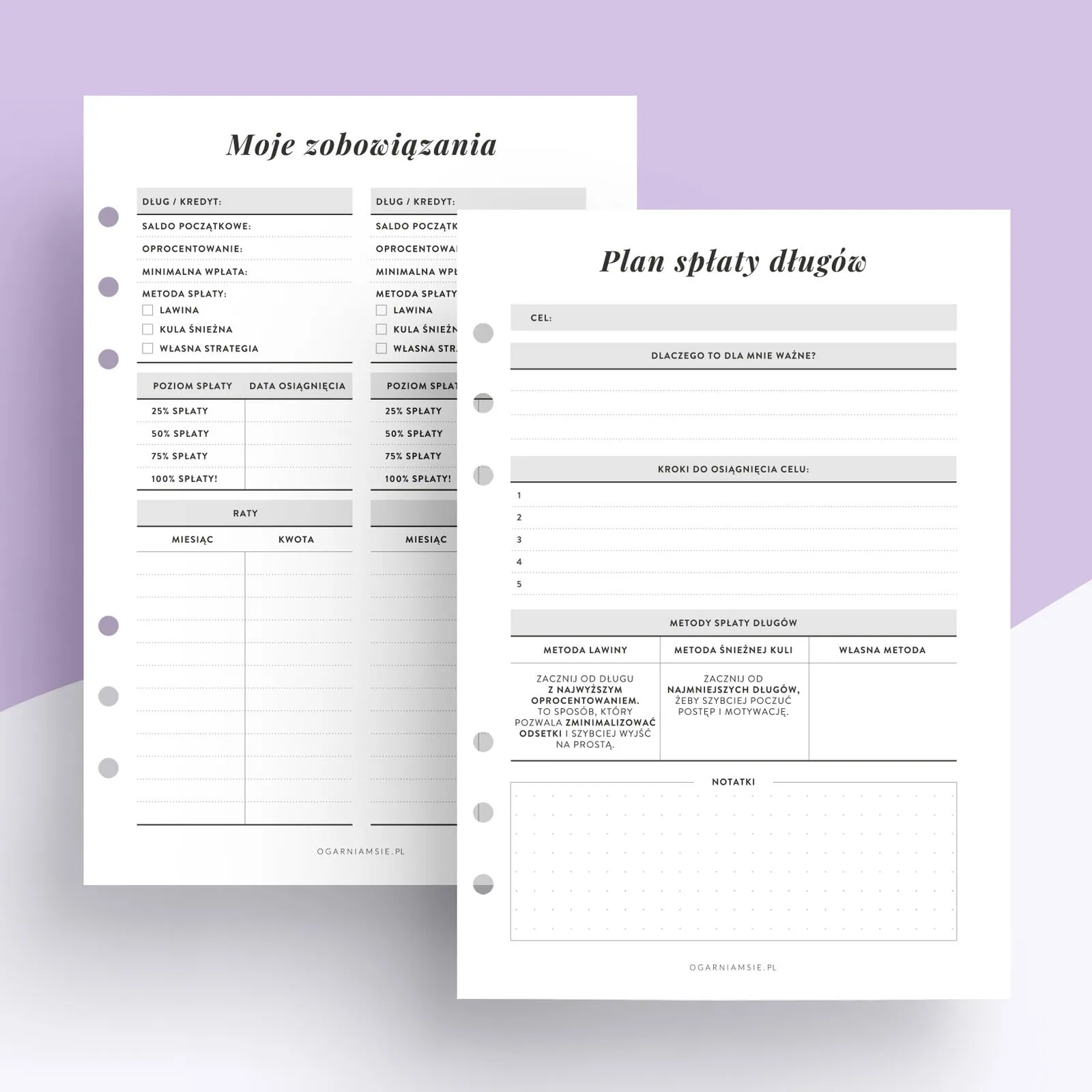 Plan spłaty długów - wkład do organizera (2)