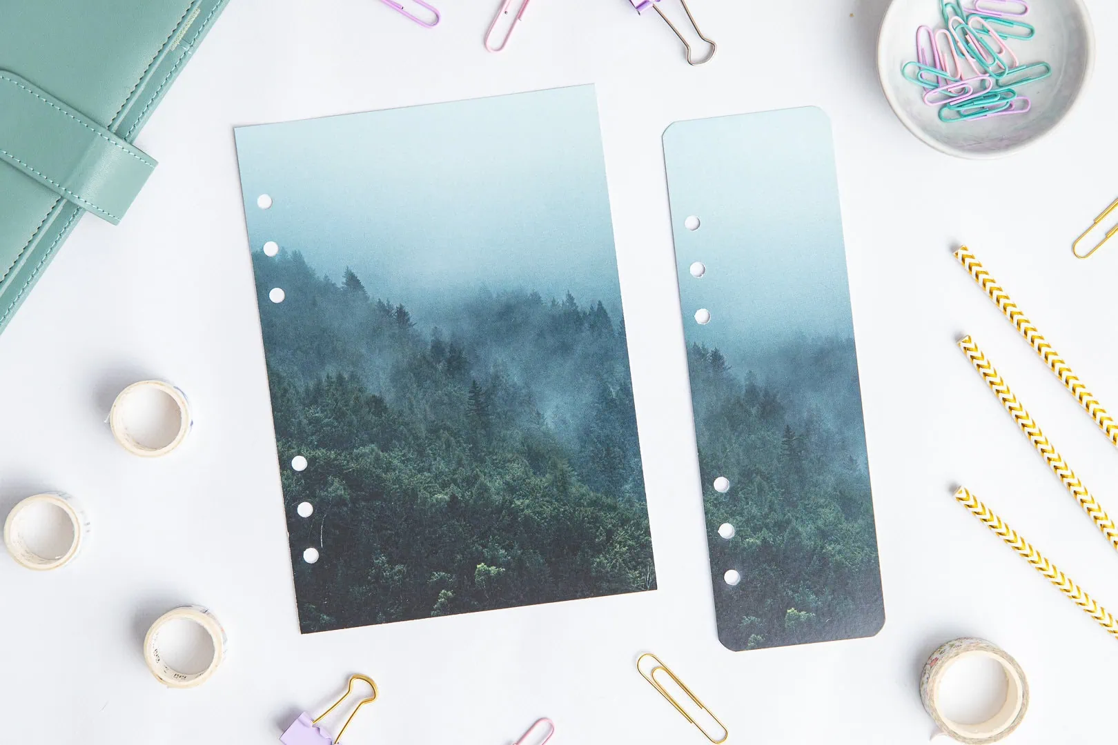 Strona tytułowa i zakładka do organizera - Leśne echo