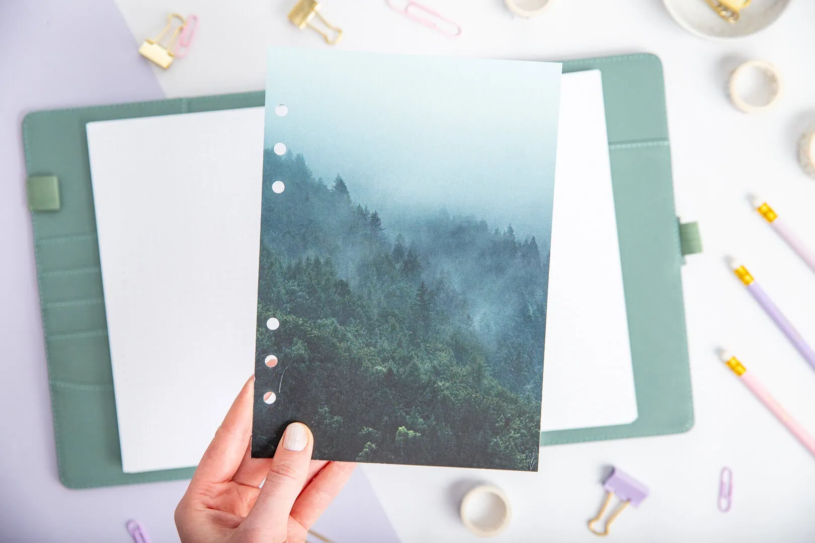 Strona tytułowa - Leśne echo