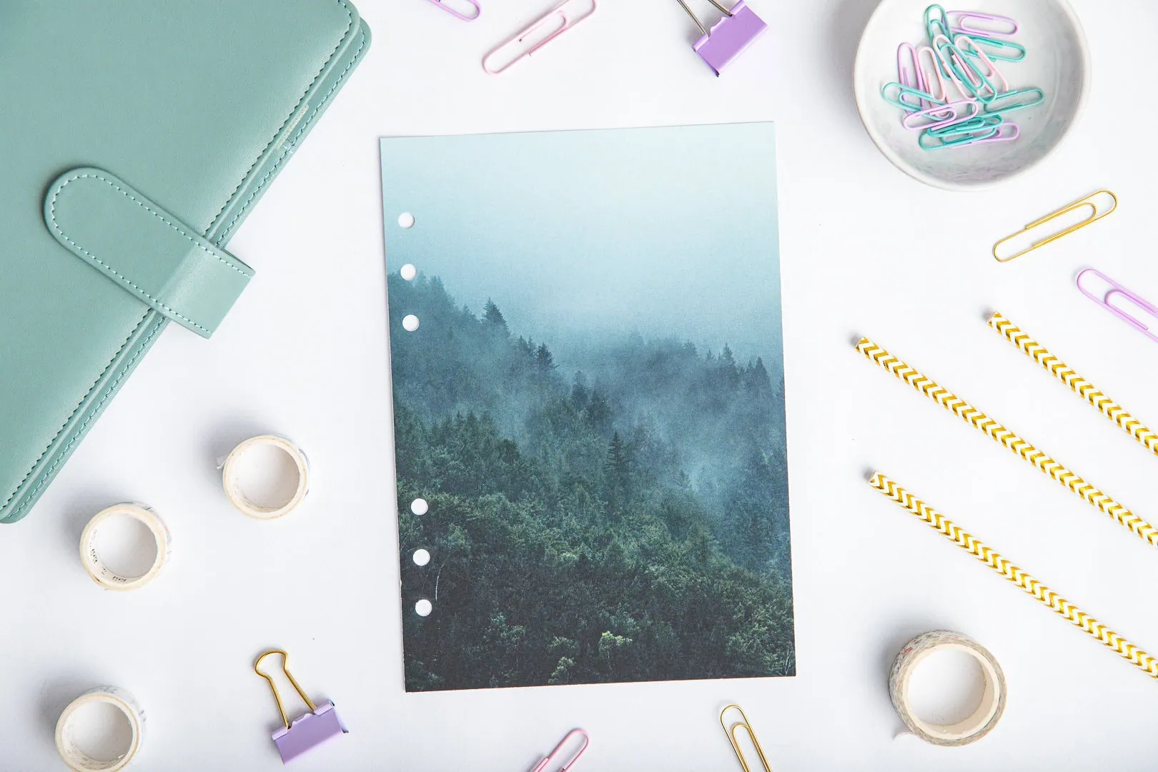 Strona tytułowa organizer - Leśne echo