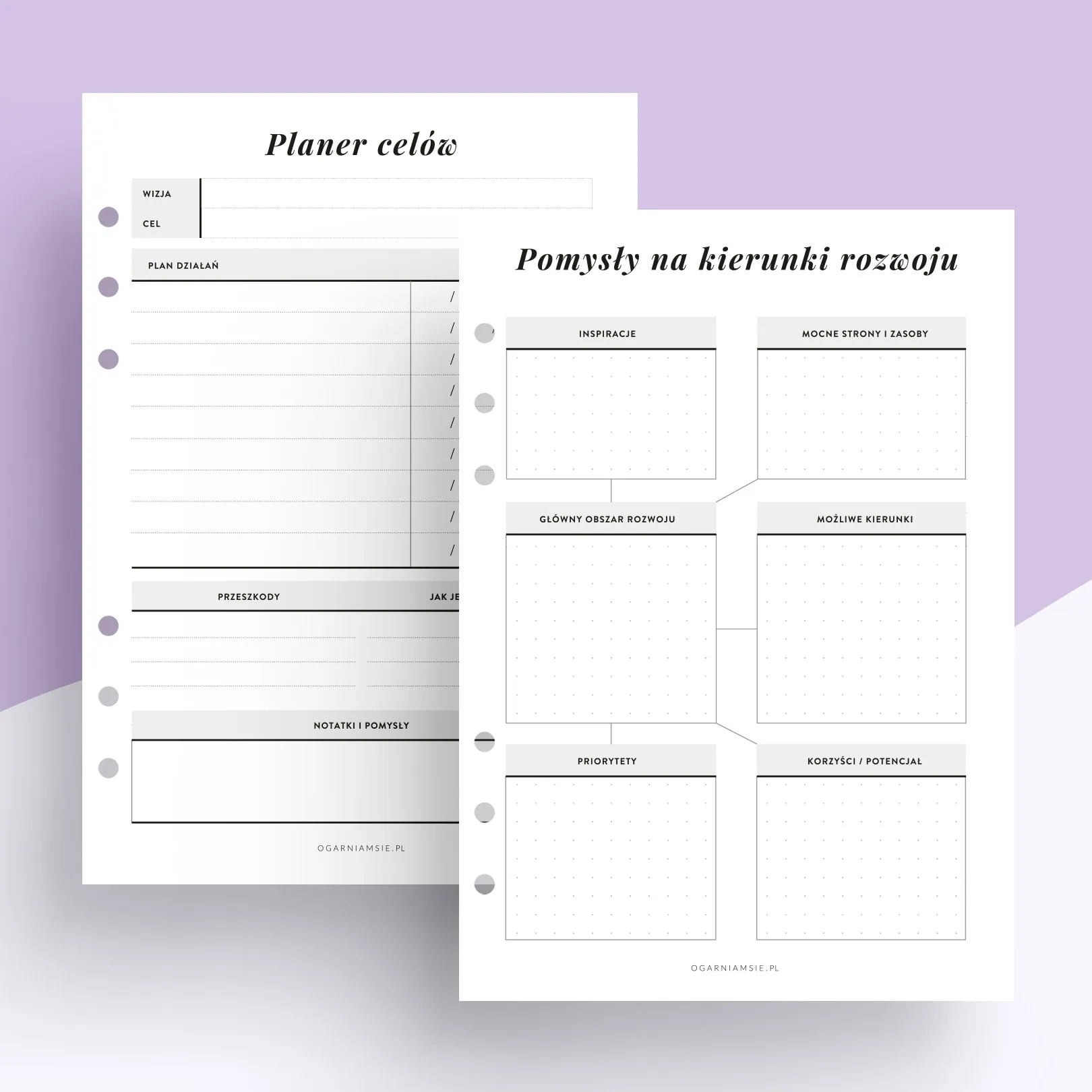 Rozwijam biznes - wkład do organizera