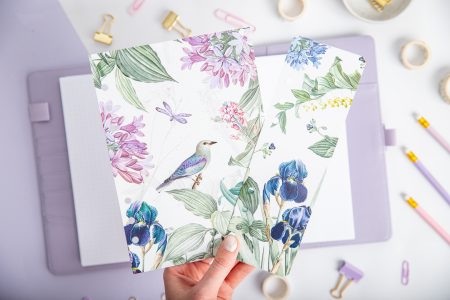 Strona tytułowa i zakładka Rajski Ogród