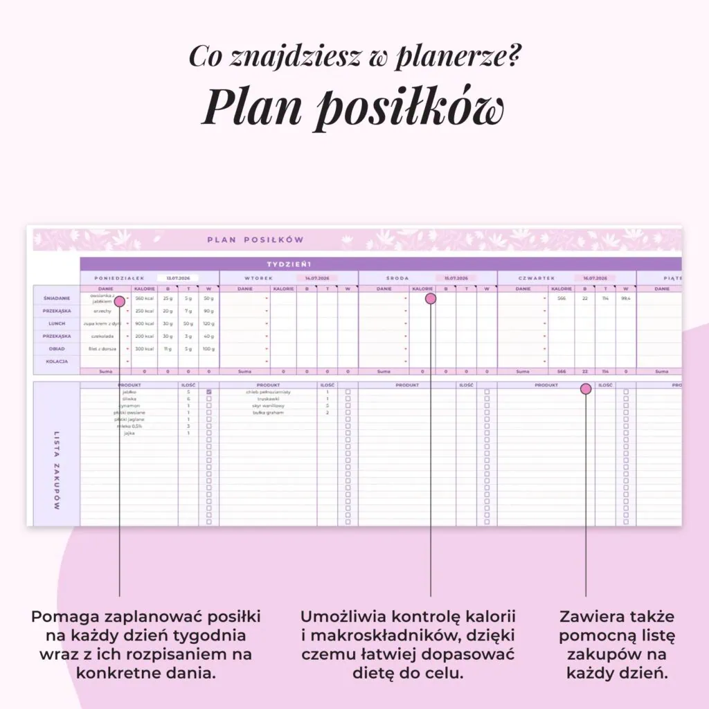 Fitness Planer – Arkusz Google | Plan posiłków
