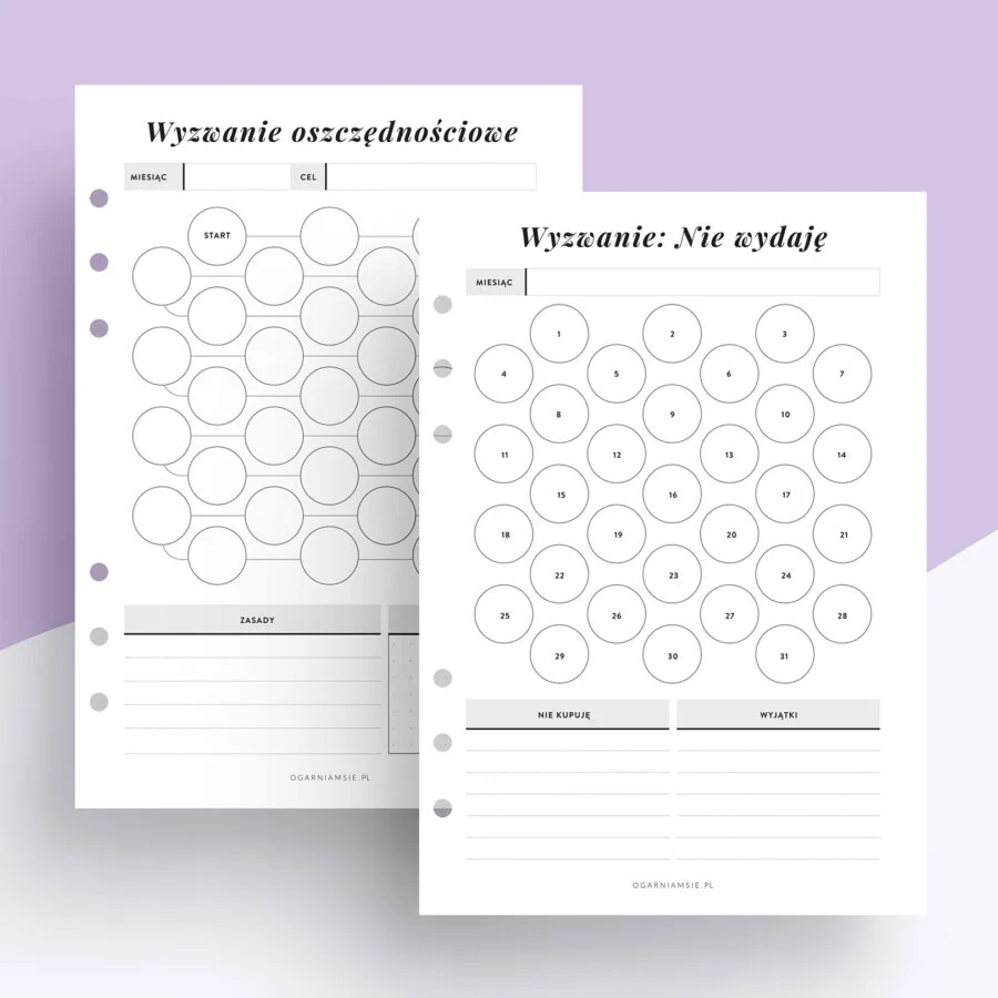 Wyzwania oszczędnościowe - wkład do organizera