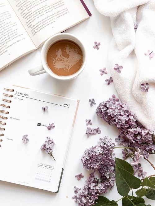 bez-planer-kompozycja bez-planer-kompozycja