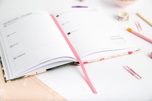 książkowy planer studenta 2024/2025 książkowy planer studenta 2024/2025
